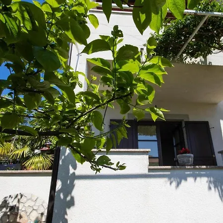 Fuer 2 Personen Ca 25 M In Novigrad, Adriakueste Kroatien Westkueste Von Istrien 아파트 *